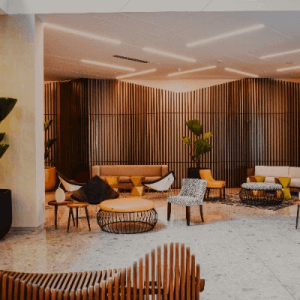 1xBet free spins bonus